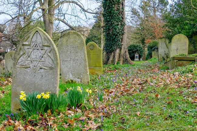 Early spring in the Rosary